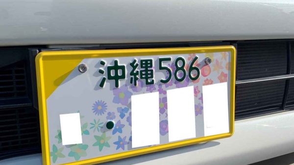 🌺図柄入りナンバープレート🌸