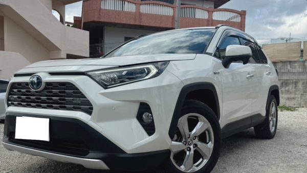 🥨RAV4 HV✨