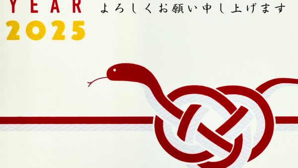 🐍2025年🐍