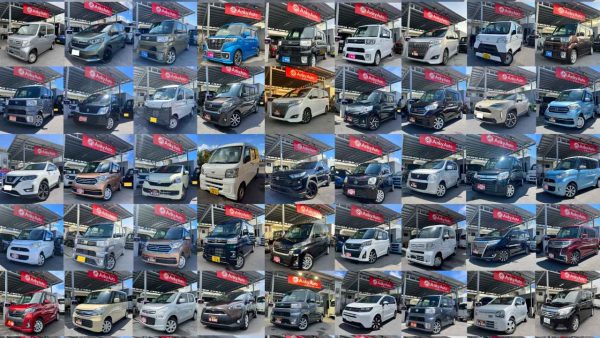 🐍2025年もありがとうございました🐴