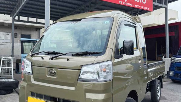 ジャンボカーキ